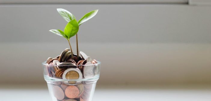 A plant growing from a pot full of coins